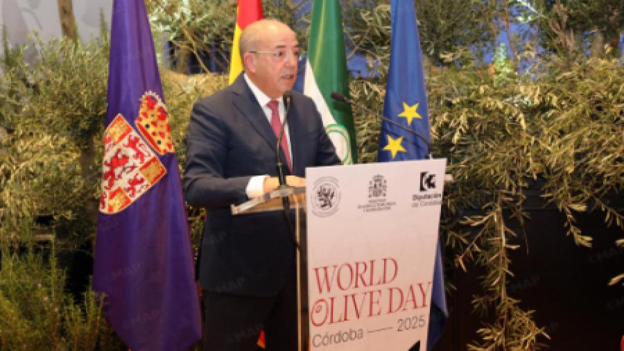 قرطبة.. السيد البواري يشدد على الدور المركزي لزراعة الزيتون في النموذج الفلاحي الوطني