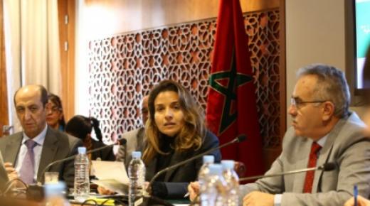 المقاربة الجديدة للنجاعة الطاقية ستمكن من اقتصاد 20 في المائة من الطاقة بحلول 2030 (السيدة بنعلي)