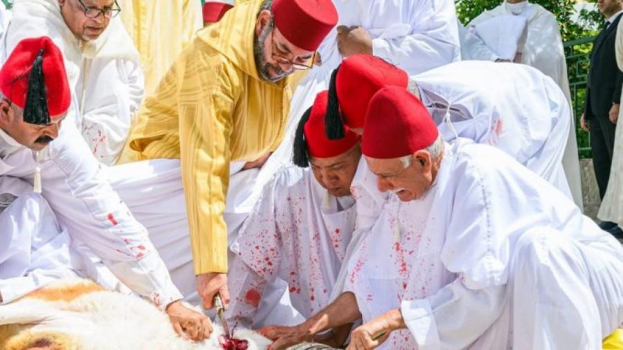 أمير المؤمنين يؤدي صلاة عيد الأضحى المبارك بمسجد الحسن الثاني بتطوان ويتقبل التهاني بهذه المناسبة السعيدة