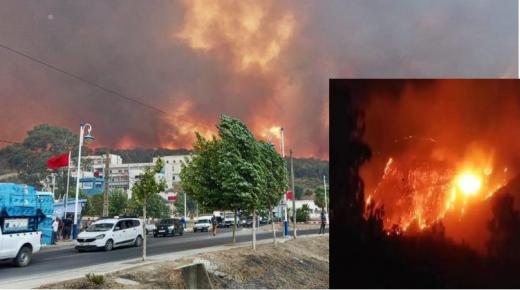 تطوان وشفشاون.. حرائق غابوية متواصلة وصعوبة في السيطرة بفعل الرياح القوية