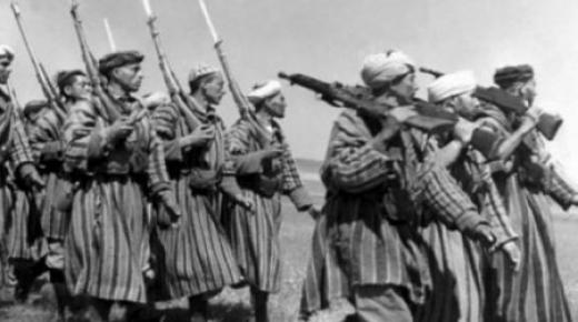 معركة الدشيرة وجلاء آخر جندي أجنبي عن الأقاليم الجنوبية، ملحمتان وضاءتان في مسلسل استكمال الاستقلال وتحقيق الوحدة الترابية