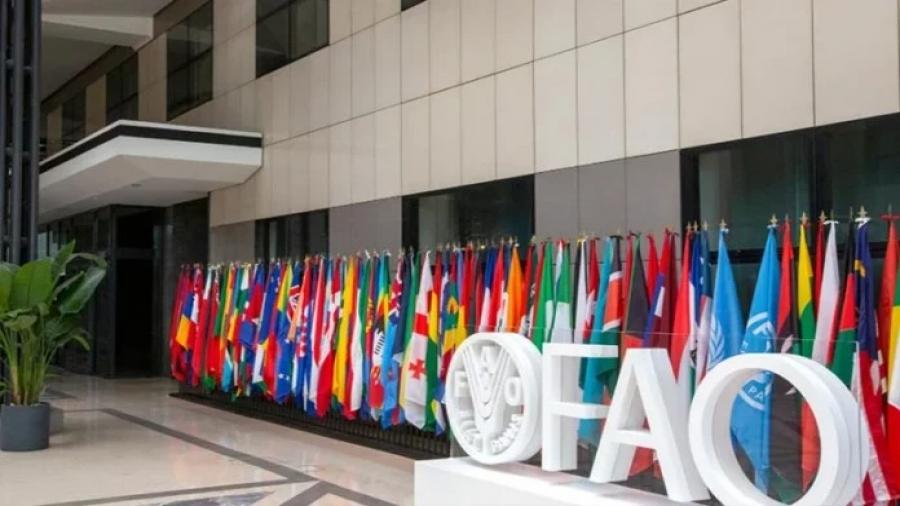 روما..الوكالة المغربية للتعاون الدولي تتوج بجائزة التميز التقني من منظمة الأغذية والزراعة (الفاو)