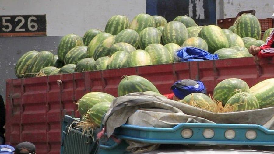 الأخبار المغربية : فاكس إلى عامل عمالة البرنوصي…السلطة المحلية و الأمنية تتجاهل ترويج الفواكه المسمومة إلى متى؟”